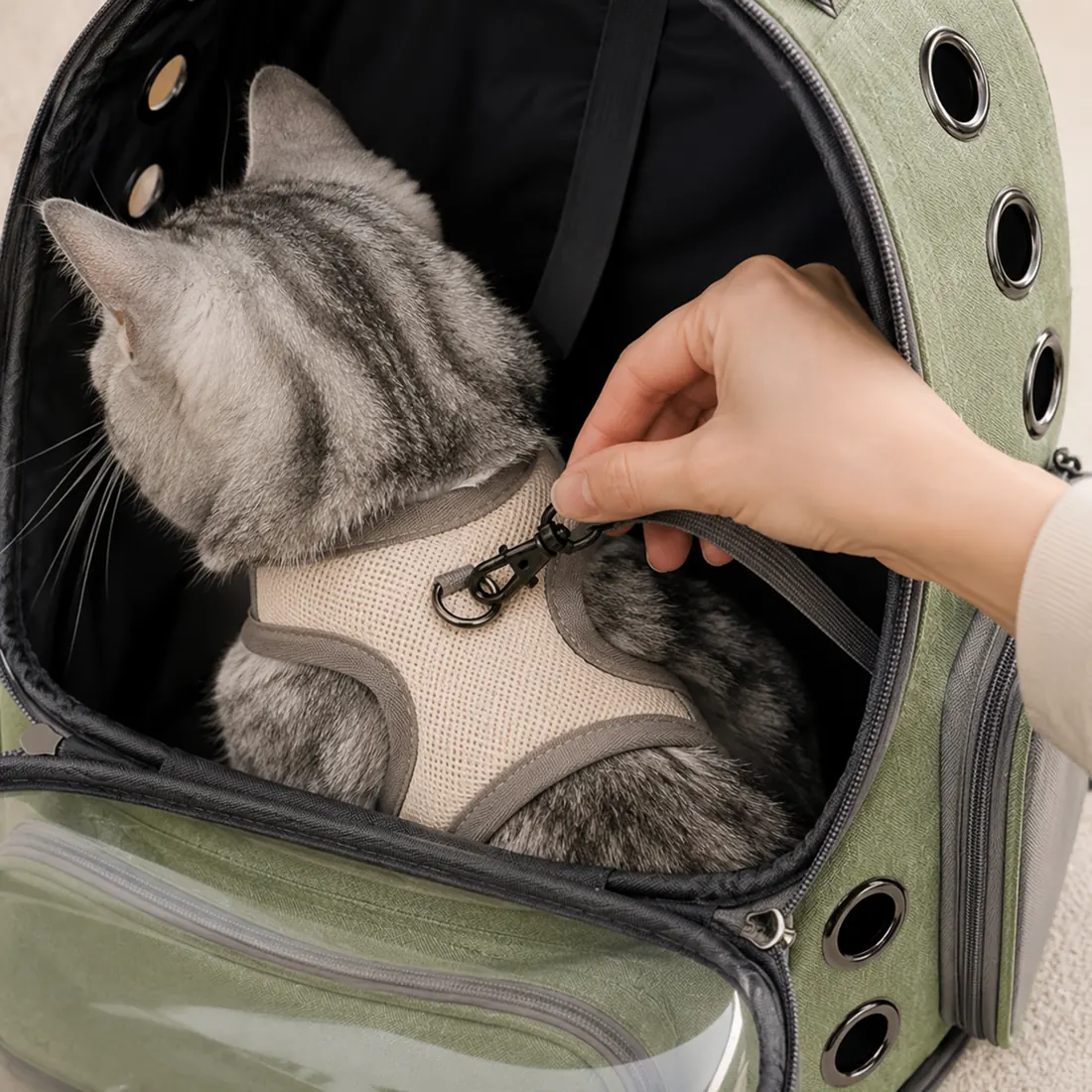 Une main clipse le mousqueton intérieur du sac sur l’anneau dorsal du harnais que porte le chat