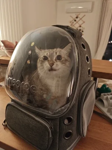 Sac à dos bulle photographié par un acheteur vérifié